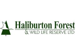 See more Haliburton Forest Group jobs